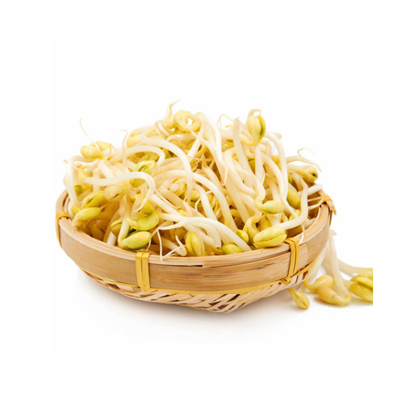 🌱 新鲜 黄豆芽（04.25到货-限自取或配送!）Yellow Bean Sprouts-500g