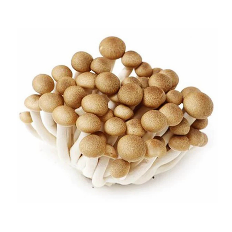 🌱蟹味菇 新鲜(11.27到货-限自取或配送!)Brown Shimeji Mushroom 150g