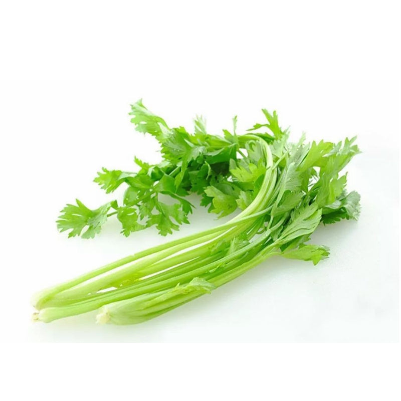 🌱 新鲜 中国芹菜/香芹（04.25到货-限自取或配送!）Chinese celery 500g