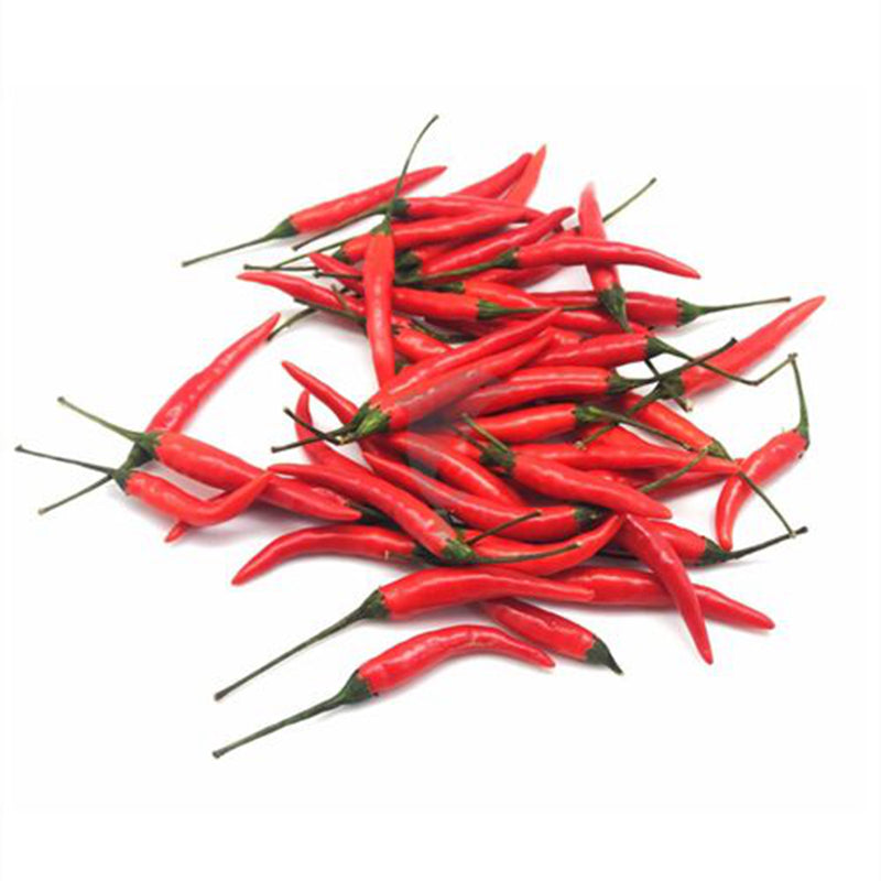 🌱 新鲜 红小米椒（04.11到货-限自取或配送!）Red Chillies 100g