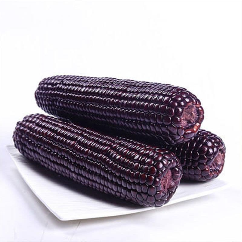 紫色糯玉米(真空包装)Vacuum Purple Waxy Corn 200g