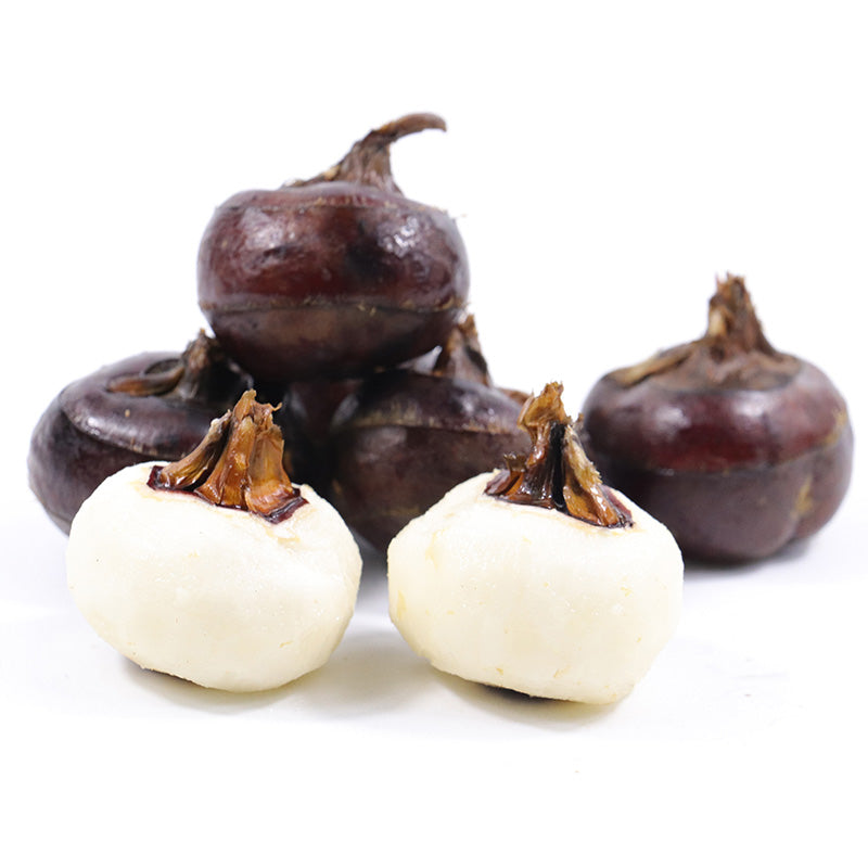 🌱 新鲜 马蹄（04.25到货-限自取或配送!）Fresh Water chestnuts 500g