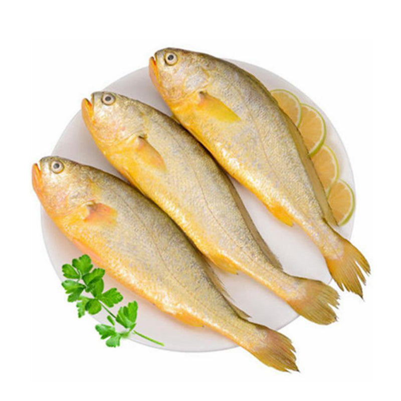 ❄️冷冻 黄花鱼(200-300g/条) 限仓库自取或配送! Yellow Croaker 1000g