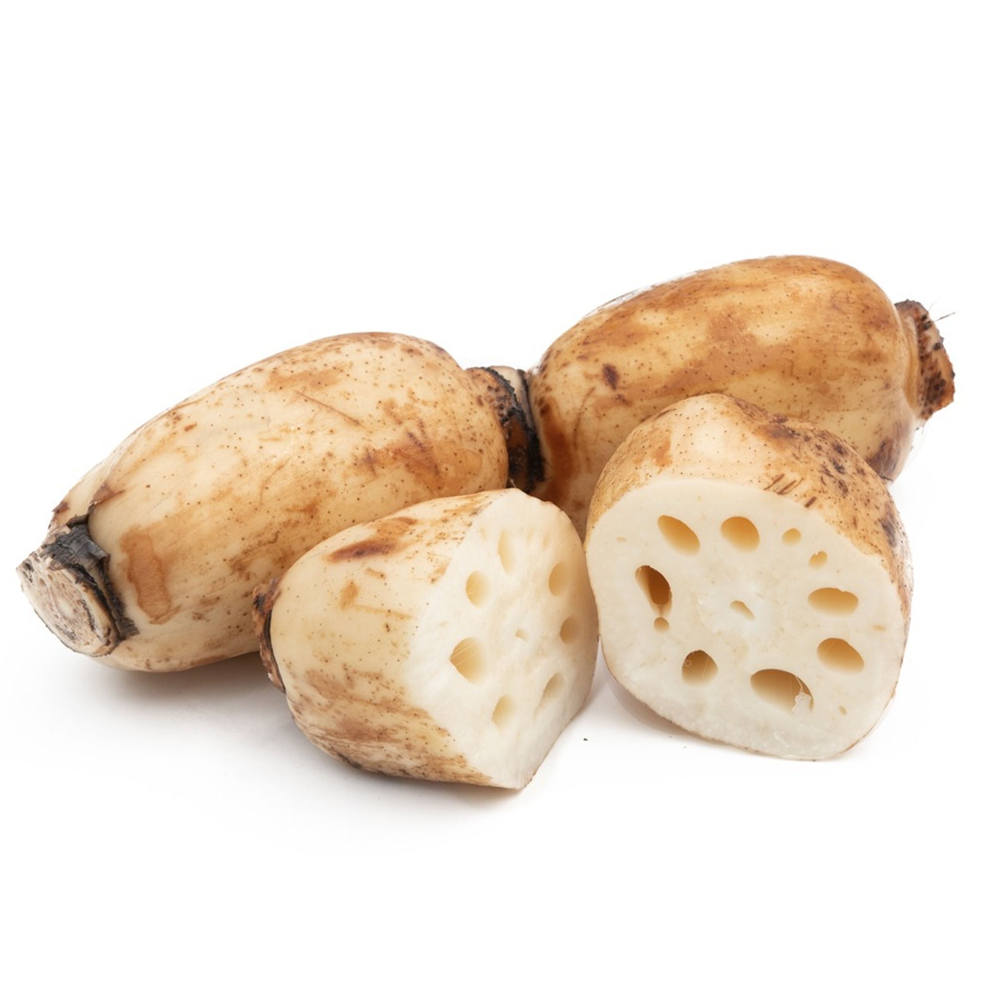 🌱 新鲜 真空莲藕(11.27到货-限自取或配送!)Fresh Lotus root