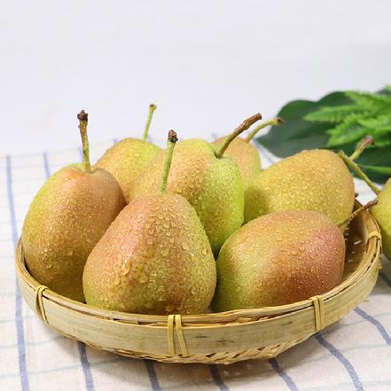 🌱库尔勒香梨(01.08到货-限自取或配送!)Fragrant Pear (Korla) 1.5Kg