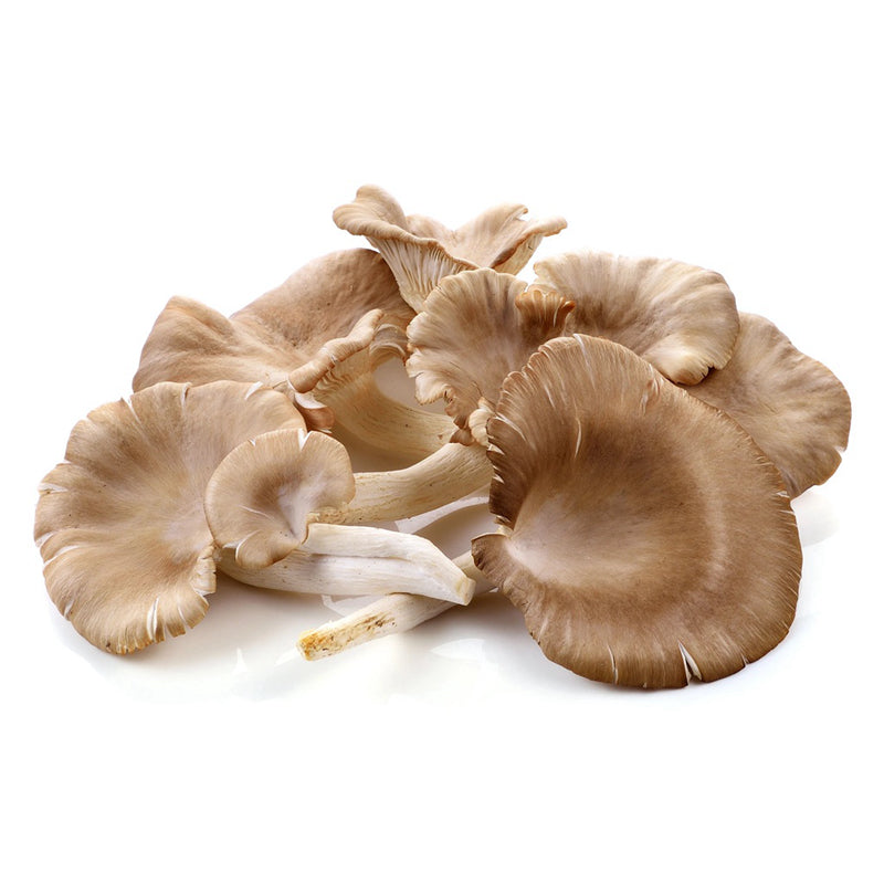 🌱 盒装平菇（05.10到货-限自取或配送!）Oyster mushroom 200g