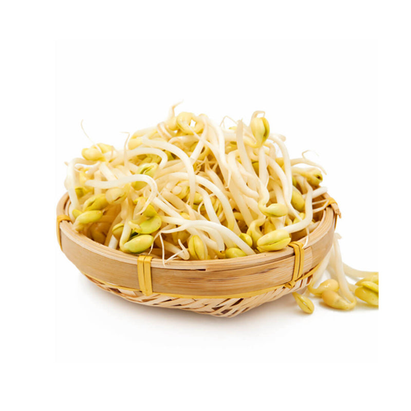 🌱 新鲜 黄豆芽（05.02到货-限自取或配送!）Yellow Bean Sprouts 500g