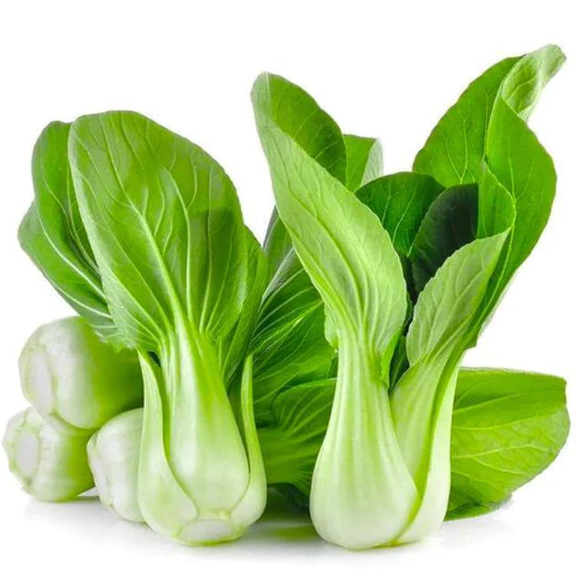 🌱 新鲜 上海青（05.02到货-限自取或配送!）Shanghai Pak Choi 500g