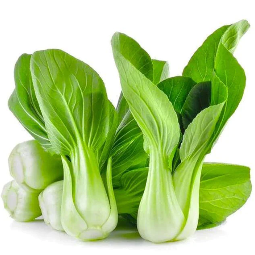 🌱 新鲜 上海青（05.16到货-限自取或配送!）Shanghai Pak Choi 500g