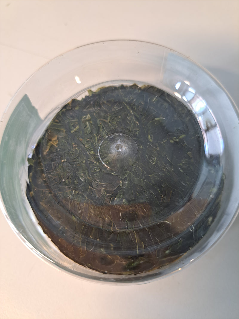 干燥压缩海带丝 dried compressed seaweed strip 90g 1stk