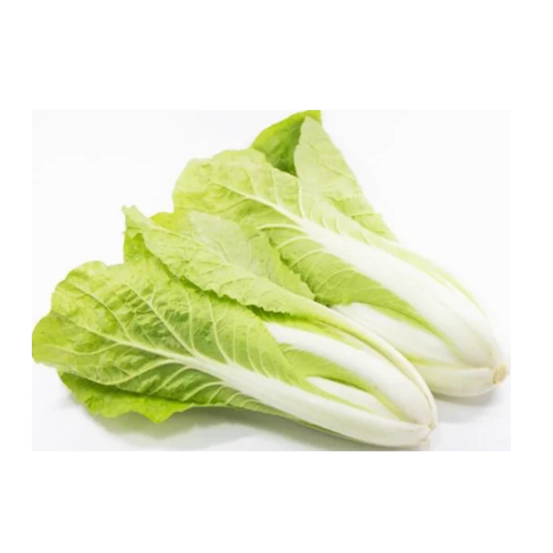 🌱 新鲜 黄金菜（01.08到货-限自取或配送!）ROYAL CABBAGE 500g-550g