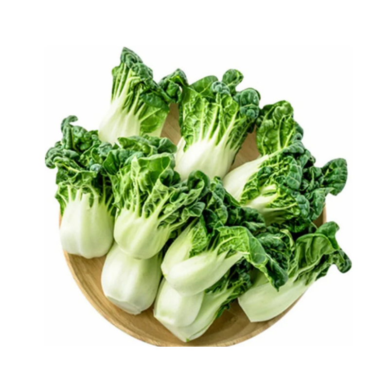 🌱 新鲜 奶白菜（05.10到货-限自取或配送!）Mini Pak Choi 400g±5%