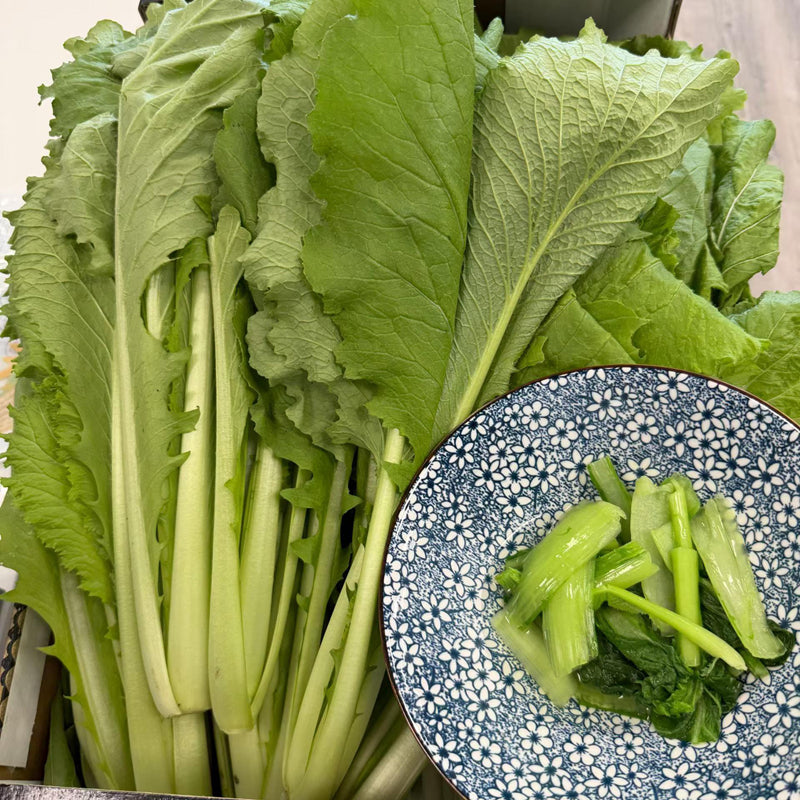 🌱东京小白菜 新鲜（08.06到货-限自取或配送!）Pak Choi Tokyo 500g