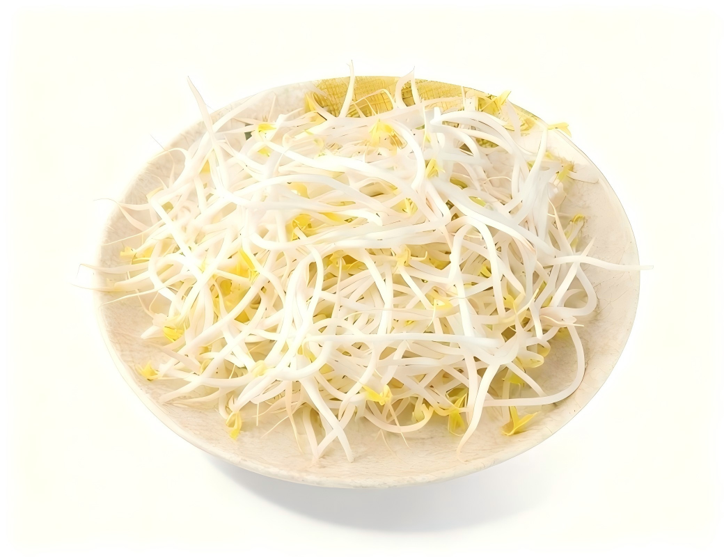 🌱绿豆芽 新鲜（08.27到货-限自取或配送!）Mung Bean Sprouts 500g