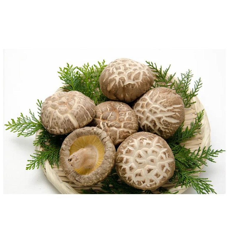 冬菇 Dried Mushroom 150g