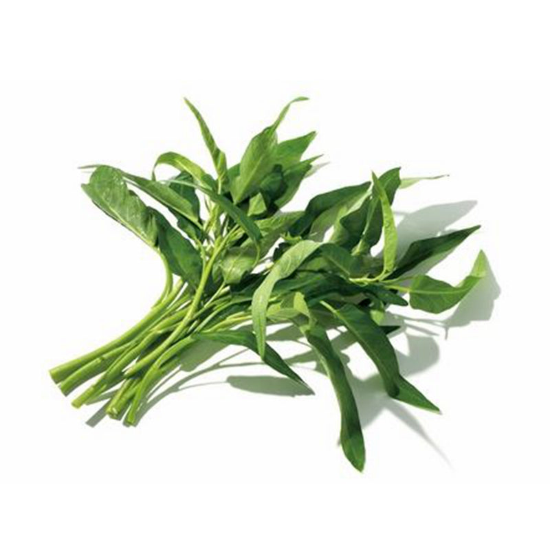 🌱 空心菜 新鲜（02.12到货-限自取或配送!）Chinese Morning Glory 250g