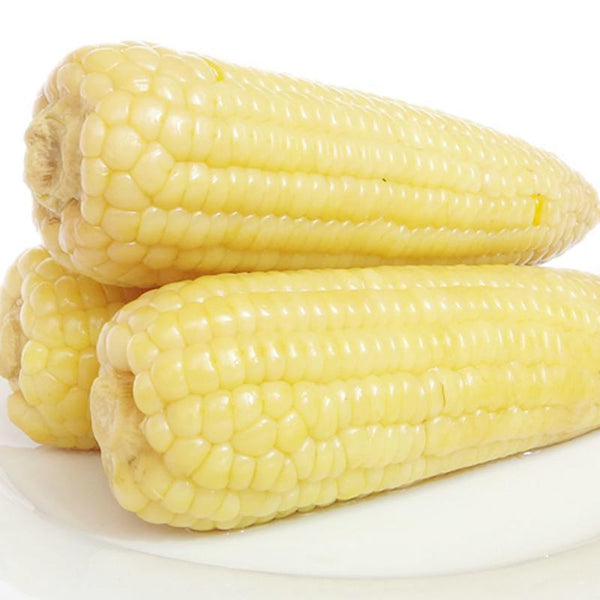 银糯玉米（真空包装）Vacuum white Waxy Corn 220g