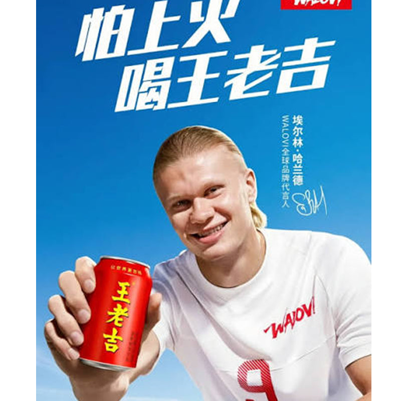 王老吉 凉茶 Classic Herbal Drink 310ml