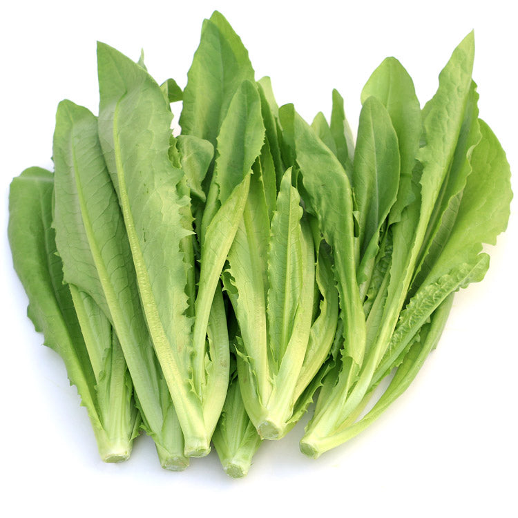 🌱 新鲜油麦菜（04.16到货-限自取或配送!）Makchoi  500g