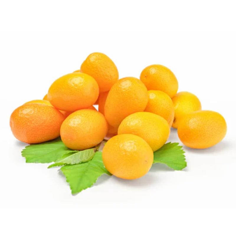 🌱金桔 新鲜（08.13到货-限自取或配送!）Kumquat 500g