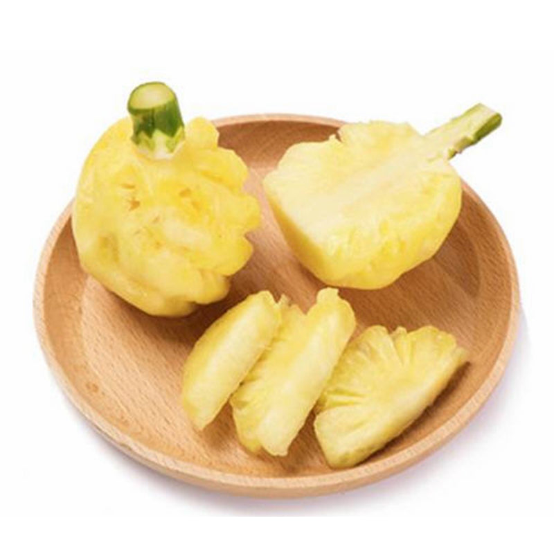 🌱新鲜 小菠萝（09.24到货-限自取或配送!）Baby Pineapple 1stk